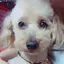 ちゅもんのプロフィール画像