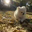 理沙のプロフィール画像