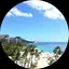 tmy.tmyのプロフィール画像