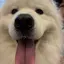 かのプロフィール画像