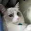 まさみのプロフィール画像