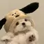 もものプロフィール画像