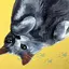 ゆうまるのプロフィール画像