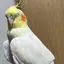 みるのプロフィール画像