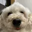 kanonのプロフィール画像