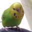 みやりなのプロフィール画像