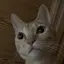 ひとちゃんのプロフィール画像