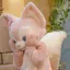 あゆのプロフィール画像