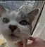 まのプロフィール画像