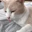 リナのプロフィール画像