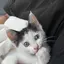 kのプロフィール画像