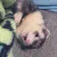 愛華のプロフィール画像