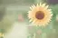 tamaのプロフィール画像