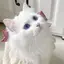 りりのプロフィール画像