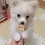 ゆのプロフィール画像