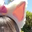 ひーちゃんのプロフィール画像