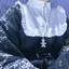 yurikoのプロフィール画像