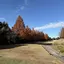 なつきのプロフィール画像