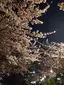 理恵のプロフィール画像