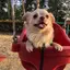 フッキーのプロフィール画像