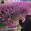 🌼Nanami🌼のプロフィール画像