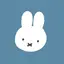 Runaのプロフィール画像