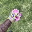 るるるのプロフィール画像