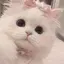 🎀のプロフィール画像