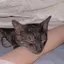 ゆきのプロフィール画像