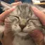 みゆのプロフィール画像