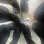 ニイナのプロフィール画像