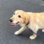 あーたろのプロフィール画像