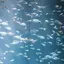 やまもん。のプロフィール画像