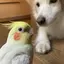 mのプロフィール画像