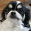 まほのプロフィール画像