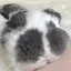 さくらのプロフィール画像