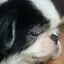 mimiのプロフィール画像