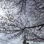カーキのプロフィール画像