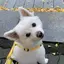 ayuのプロフィール画像