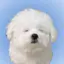 は !のプロフィール画像