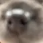 h7のプロフィール画像