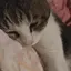 あすちのプロフィール画像