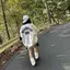 奈美のプロフィール画像