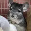 みゆのプロフィール画像