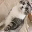 なつみのプロフィール画像