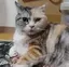 ロミロミのプロフィール画像