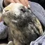 むーのプロフィール画像