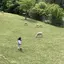 zzzのプロフィール画像