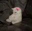 麗のプロフィール画像
