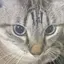 ものプロフィール画像